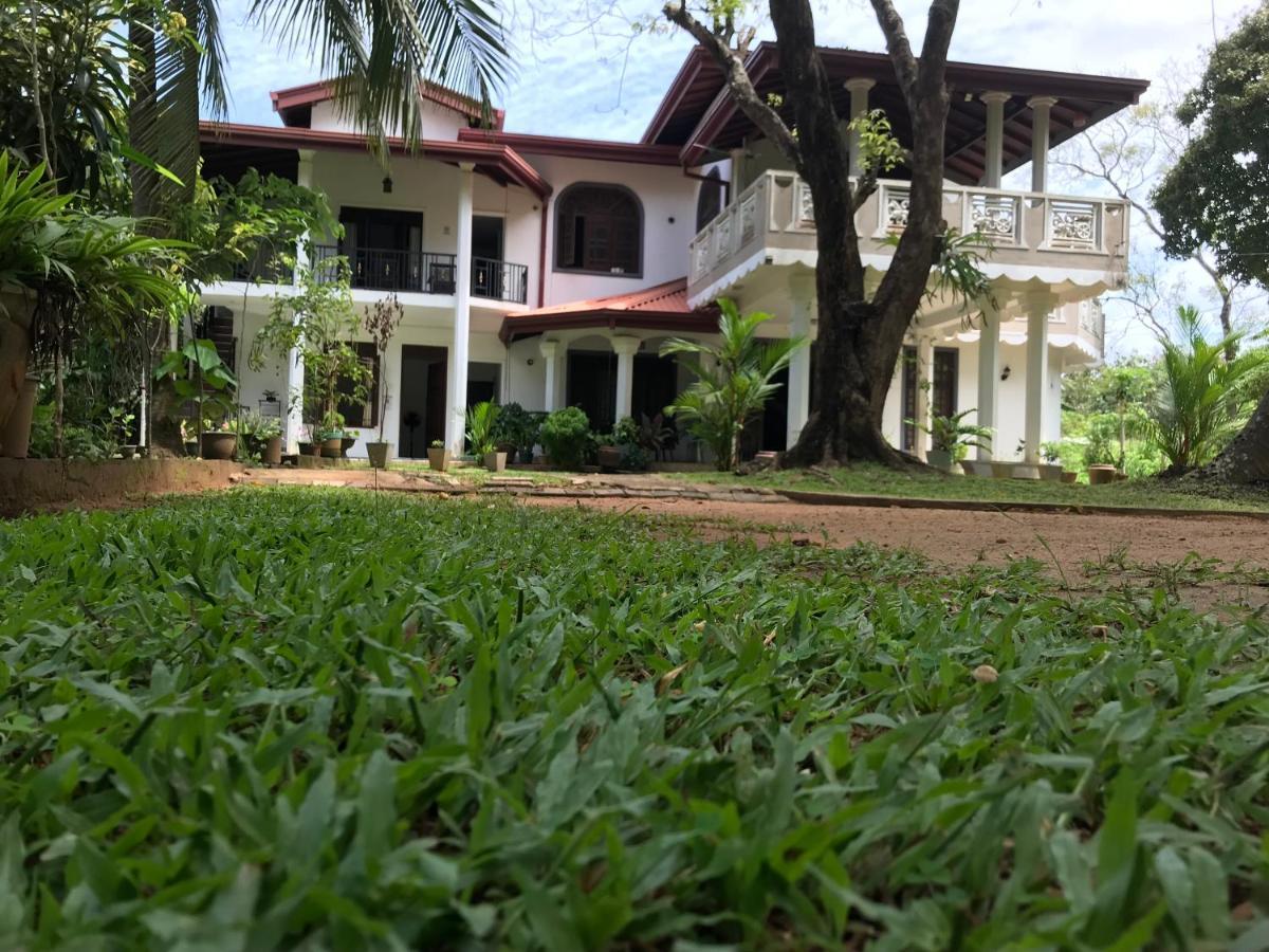 Green Edge Residences 丹不拉 外观 照片